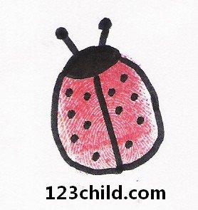 Fingerprint Ladybug